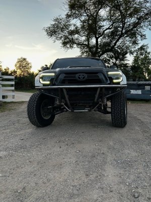 Freyja Bumper.jpg