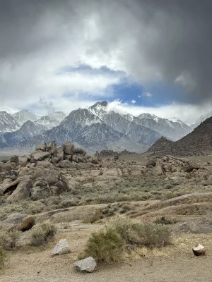 IMG_4939.jpeg IMG_4939.jpeg