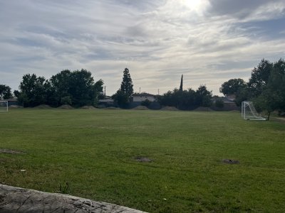 IMG_0861.jpeg