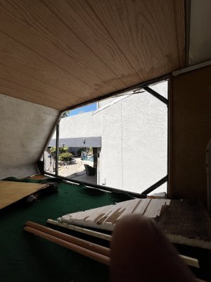 IMG_7957.jpeg