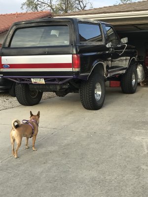 IMG_0029.jpeg