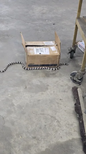 20250502_195113.webp 20250502_195113.webp