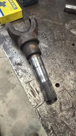 20250518_111614.webp 20250518_111614.webp