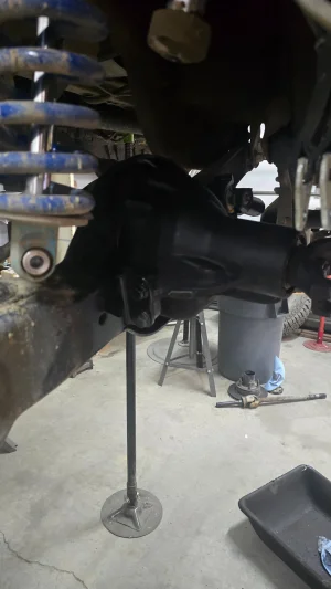 20250521_173005.webp 20250521_173005.webp