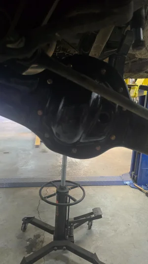 20250521_173013.webp 20250521_173013.webp