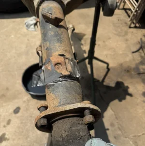 IMG_4826.jpeg IMG_4826.jpeg