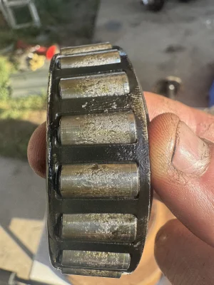 IMG_4823.jpeg IMG_4823.jpeg