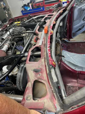 cage24.webp cage24.webp