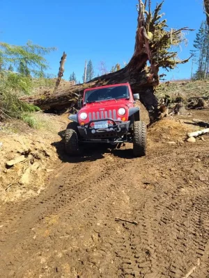 shared image (5).webp