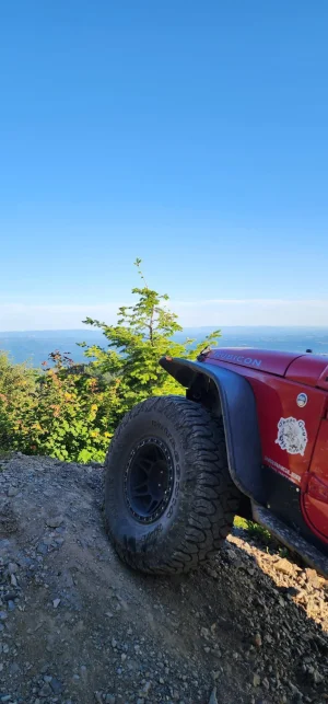 shared image (4).webp