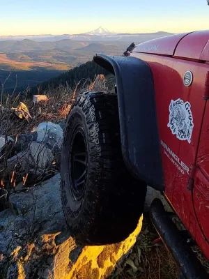 shared image (3).webp