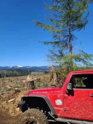 shared image (2).webp