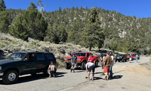 IMG_1215.webp IMG_1215.webp