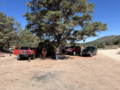 IMG_7197.webp IMG_7197.webp