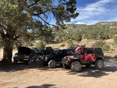 IMG_7232.webp IMG_7232.webp