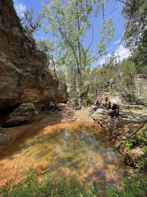 IMG_9592.webp IMG_9592.webp