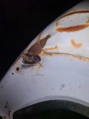 20220914_210005.jpg 20220914_210005.jpg