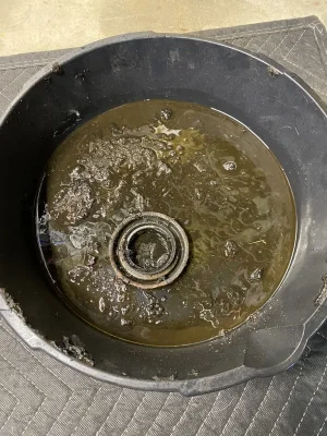 99A49C18-CB35-44D3-836D-543DCC6A895D.webp 99A49C18-CB35-44D3-836D-543DCC6A895D.webp