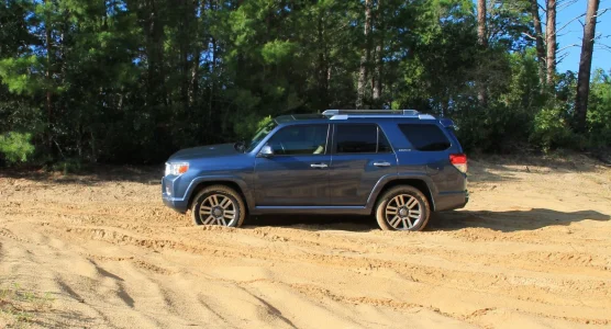 IMG_3134 - Copy.webp IMG_3134 - Copy.webp