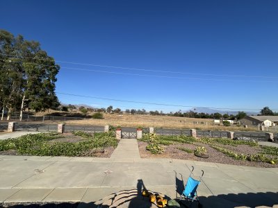 IMG_7692.jpeg