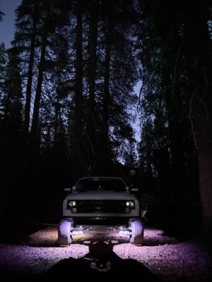 IMG_9498.jpeg