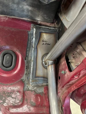 cage40.webp cage40.webp