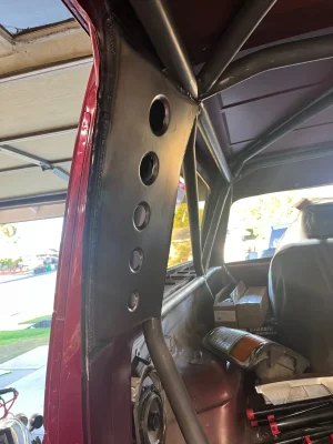 cage43.webp cage43.webp