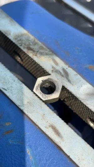 IMG_2137.webp IMG_2137.webp