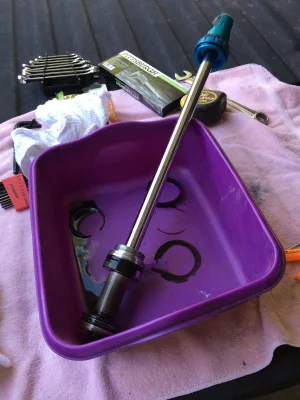 IMG_0070.jpeg IMG_0070.jpeg