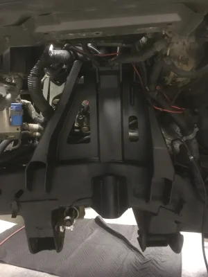 IMG_4206.jpeg IMG_4206.jpeg