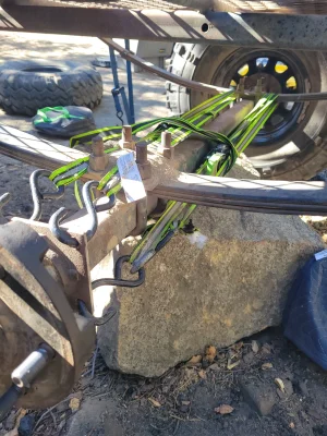 1000024582.webp 1000024582.webp