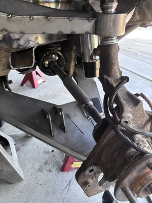 IMG_0743.webp IMG_0743.webp