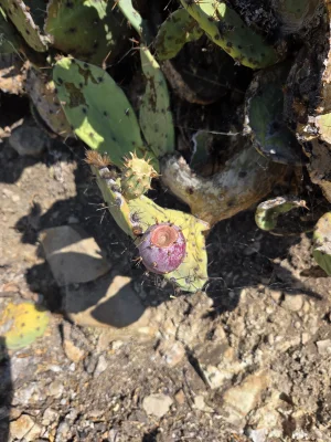 20250901_092909.webp 20250901_092909.webp