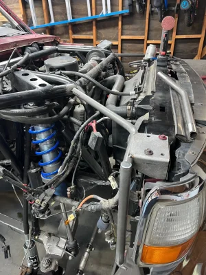 cage48.webp cage48.webp