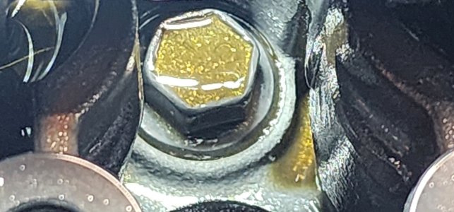 20241220_092836.jpg