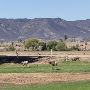 IMG_5075.jpeg