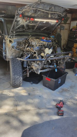 20250828_101535.jpg