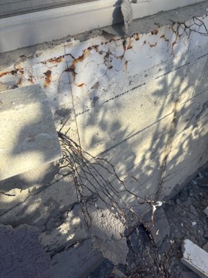 IMG_2536.jpeg