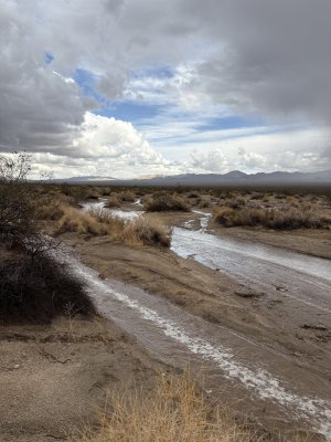 IMG_0830.jpeg