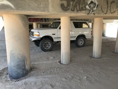 IMG_4753.jpeg