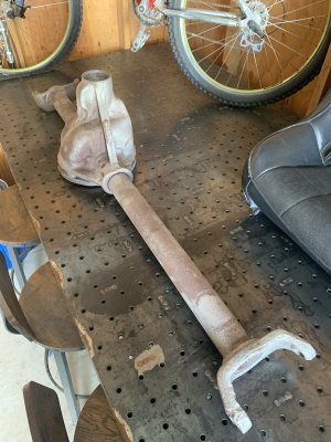 IMG_3736.jpeg IMG_3736.jpeg