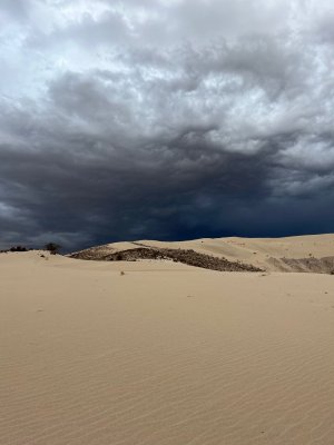 IMG_6161.jpg