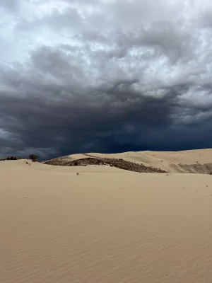 IMG_6161.webp IMG_6161.webp