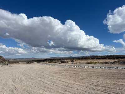 IMG_6165.jpg