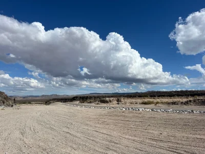 IMG_6165.webp IMG_6165.webp