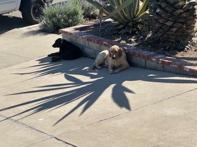IMG_5552.jpeg