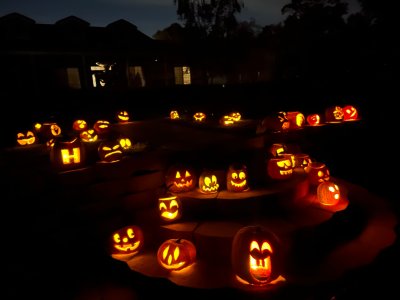 IMG_7675.jpeg IMG_7675.jpeg