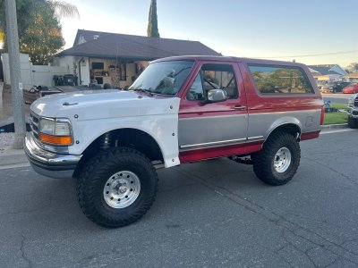 new leafs 2.jpeg new leafs 2.jpeg