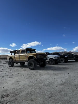 IMG_8025.jpeg IMG_8025.jpeg