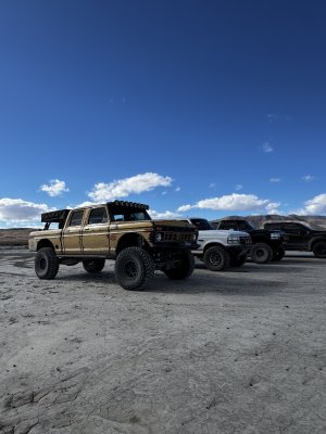 IMG_8025.jpeg IMG_8025.jpeg